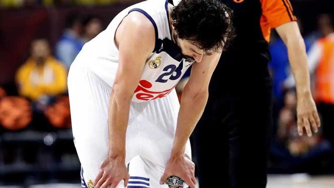 金年会官网-今晨明尼苏达森林狼调整名单以备国王杯，绝杀压哨环节打磨，话题不断，训练强度明显提升的简单介绍