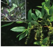 睐睇眚睐睇眚傻遭眦璨iuytuy